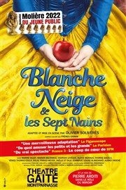 Blanche Neige et les 7 nains Gaité Montparnasse Affiche