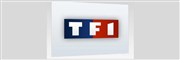 Émission Politique - Sujet d'actualité avec David Pujadas Tour TF1 Affiche