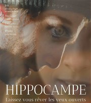 Hippocampe Improvidence Affiche