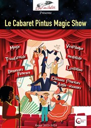 Le Pintus cabaret show La Ricane Affiche