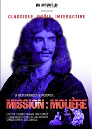 Mission Molière Théâtre Lulu Affiche