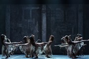 Giselle | English National Ballet Théâtre des Champs Elysées Affiche
