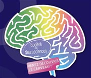 Semaine du Cerveau : Conférence "Cerveau et pollution sonore" Espace des sciences Pierre-Gilles de Gennes Affiche