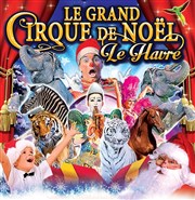 Le Grand Cirque de Noël, Aladin et les 1001 Nuits | au Havre Chapiteau Mdrano au Havre Affiche