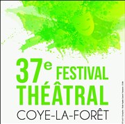Une vie sur mesure | Festival Théâtral Coye-la-Forêt Centre Culturel Coye la Fort Affiche