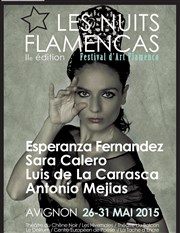 Esperanza Fernandez | Concert flamenco Les Hivernales - Centre de Dveloppement Chorgraphique Affiche