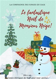 Le fantastique Noël de Monsieur Neige Comdie Triomphe Affiche