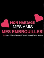 Mon Mariage, mes amis, mes embrouilles Salle Rameau Affiche