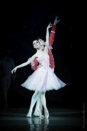 Casse-Noisette | Grand Ballet de Kiev Thtre de la Valle de l'Yerres Affiche
