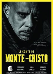 Le Comte de Monte-Cristo Théâtre Odyssée Affiche