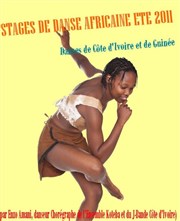 Stage de danse africaine Studio Biped Affiche