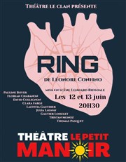 Ring Thtre Le Petit Manoir Affiche