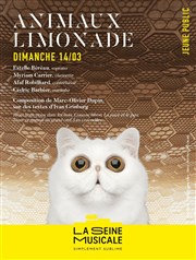 Animaux Limonade La Seine Musicale - Auditorium Patrick Devedjian Affiche