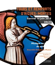Monuments en concerts Logis du Gouverneur d'Aigues-Mortes Affiche