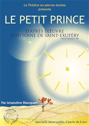 Le Petit Prince Théâtre Comédie Odéon Affiche
