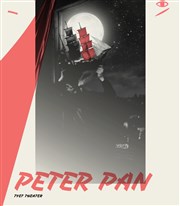 Peter Pan IVT International Visual Théâtre Affiche