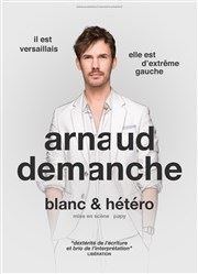 Arnaud Demanche dans Blanc et Hetero Le Pr de Saint-Riquier Affiche