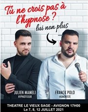Julien Mameli et Franck Polo dans Tu ne crois pas à lu0027hypnose, lui
