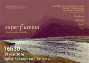 Concert Super Flumina choeurs sacrés a cappella Eglise St Louis en l'le Affiche