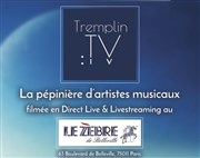 Tremplin TV Le Zèbre de Belleville Affiche