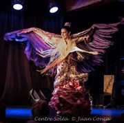 Kaena colora flamenco Thtre de la Cit Affiche