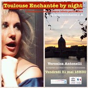 Toulouse Enchantée by night Ostal d'Occitnia Affiche