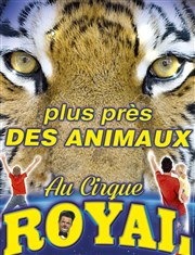 Soigneur d'un jour | à Senat Chapiteau Cirque Royal  Senas Affiche
