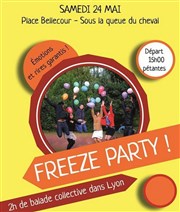 Freeze party dans Lyon Place Bellecour Affiche