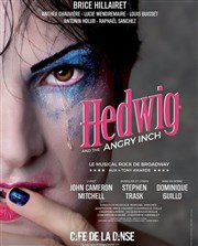 Hedwig and the Angry Inch Café de la Danse Affiche