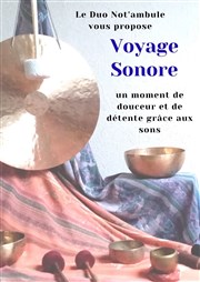Voyage Sonore Les Miroirs de l'me Affiche