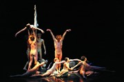 Béjart Ballet Lausanne Opra Royal - Chteau de Versailles Affiche