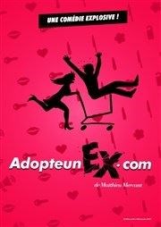 Adopte un ex. com Comdie de Besanon Affiche