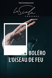 L'oiseau de feu / Boléro | par le Ballet de l'Opéra Grand Avignon La Scala Provence - salle 600 Affiche