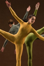 Opera Ballet Vlaanderen Ballet de l'Opéra national de Paris The Royal Ballet | Trois ballets Chaillot - Thtre National de la Danse / Salle Jean Vilar Affiche