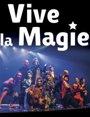 Festival International Vive la Magie | Bourges Palais d'Auron Affiche