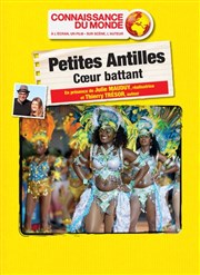 Petites Antilles Centre Culturel l'Odysse Affiche
