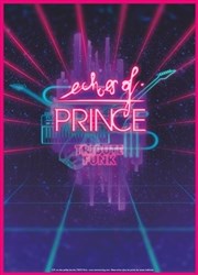 Echoes of Prince : Tribute to a legend Le Hangar Affiche
