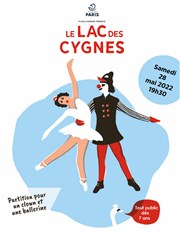 Le Lac des Cygnes Centre paris Anim' Place des ftes Affiche