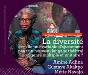 La diversité Théâtre Jean Vilar Affiche