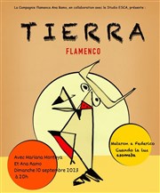 Tierra : Flamenco Thtre de Nesle - grande salle Affiche