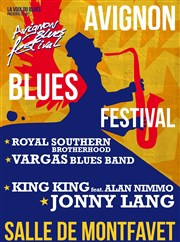 Royal Southern Brotherhood, Vargas Blues Band Salle polyvalente de Montfavet Affiche