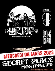 Wormrot + Pound + Dying Earth Secret Place Affiche