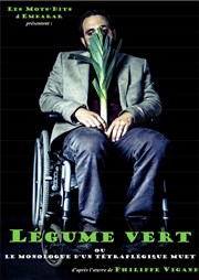 Sebastien Coppolino dans Légume vert ou le monologue d'un tétraplégique muet Atelier 53 Affiche