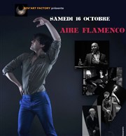Aire Flamenco Thtre Clavel Affiche