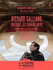 Richard Galliano - Les chemins noirs La Seine Musicale - Auditorium Patrick Devedjian Affiche