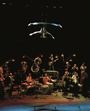 La Toile | Surnatural Orchestra Acadmie Fratellini - Grand chapiteau Affiche