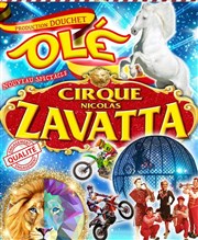 Cirque Nicolas Zavatta Douchet | Tours Cirque Nicolas Zavatta Douchet Affiche