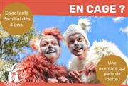 En Cage ? En quête de liberté ! Thtre Le Fil  Plomb Affiche