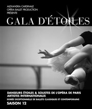 Gala d'Etoiles saison 12 Thtre du casino de Deauville Affiche