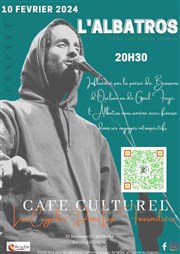 L'Albatros en concert Caf culturel Les cigales dans la fourmilire Affiche